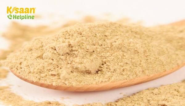 ओडिशा ने राइस ब्रान ऑयल इकाइयों को बढ़ावा देने का फैसला किया